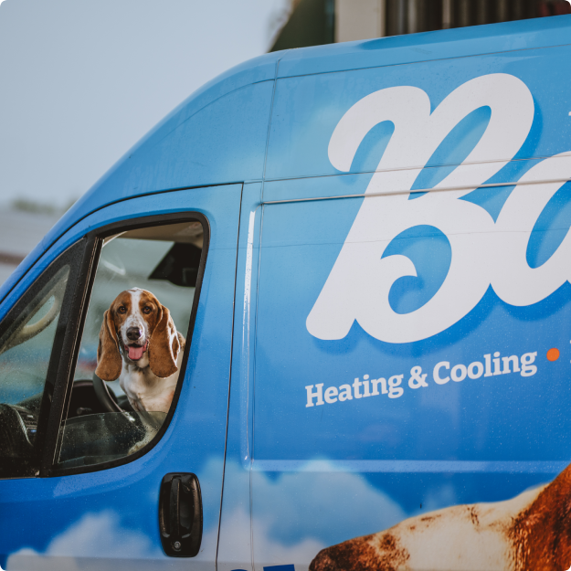Basset hound looking out the window of a Bassett Heating and Cooling van